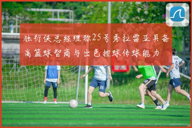 独行侠总经理称25号秀拉雷亚具备高篮球智商与出色控球传球能力