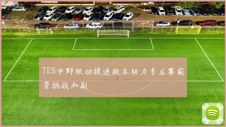 TES中野联动提速版本助力季后赛前景挑战加剧