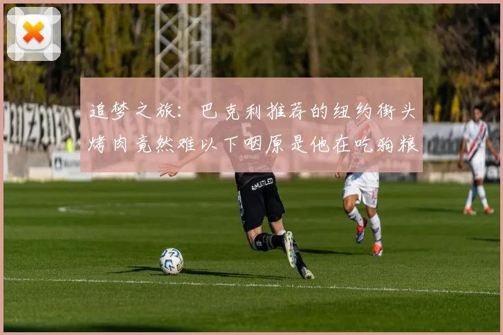 追梦之旅：巴克利推荐的纽约街头烤肉竟然难以下咽原是他在吃狗粮